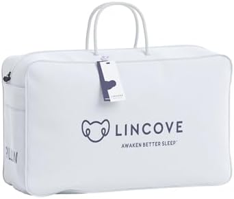 Lincove The Pillow Tote Bag - Pillow Bag For Travel, Measures 21”x13”x6”